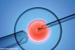 温馨医疗环境